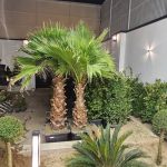 ویلا دوبلکس سبک مدرن 300 متری در تهراندشت کرج