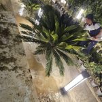 ویلا دوبلکس سبک مدرن 300 متری در تهراندشت کرج